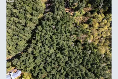 18675 SW Forest Park Rd, Hillsboro, OR 97123 - Photo 9