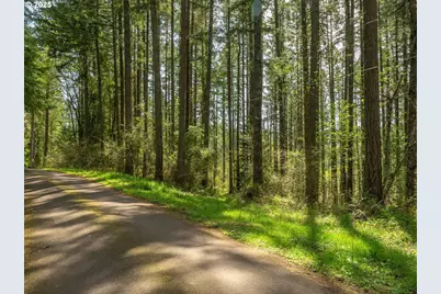 18675 SW Forest Park Rd, Hillsboro, OR 97123 - Photo 3