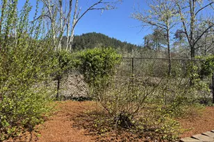 6074 Pebble Ct, Springfield, OR 97478 - Photo 37