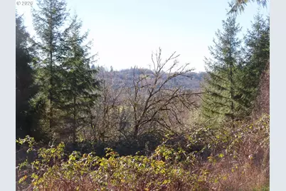 Larson Rd, Mossyrock, WA 98564 - Photo 3