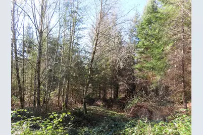 Larson Rd, Mossyrock, WA 98564 - Photo 19