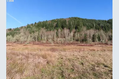 Larson Rd, Mossyrock, WA 98564 - Photo 1