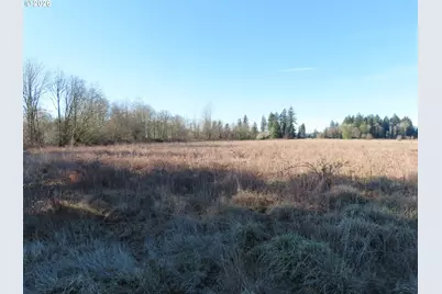 Larson Rd, Mossyrock, WA 98564 - Photo 25