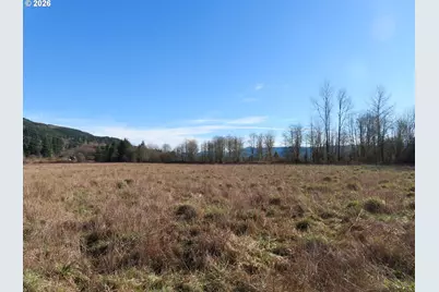 Larson Rd, Mossyrock, WA 98564 - Photo 5