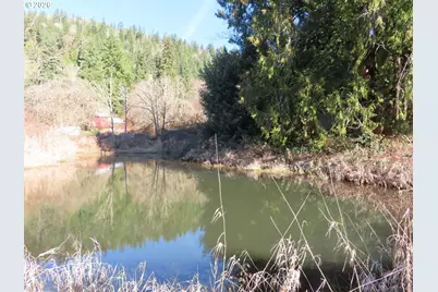 Larson Rd, Mossyrock, WA 98564 - Photo 11