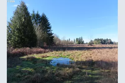 Larson Rd, Mossyrock, WA 98564 - Photo 27