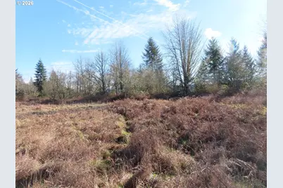 Larson Rd, Mossyrock, WA 98564 - Photo 15