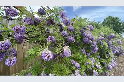 435 SE Belgian St, Sublimity, OR 97385 - Photo 11