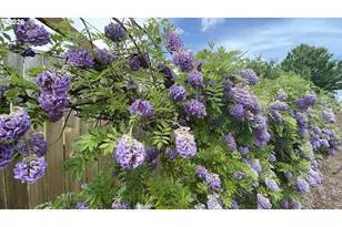 435 SE Belgian St, Sublimity, OR 97385 - Photo 11