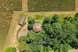 5100 NE Breyman Orchards Rd, Dayton, OR 97114 - Photo 17