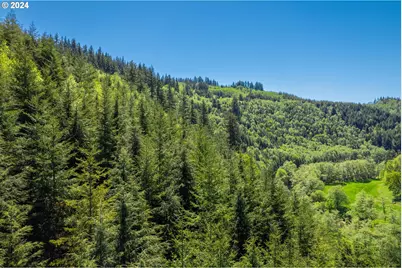 0 Harlan Rd, Toledo, OR 97391 - Photo 25