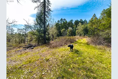 E Sixth Ave, Sutherlin, OR 97479 - Photo 45