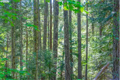 E Sixth Ave, Sutherlin, OR 97479 - Photo 29
