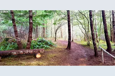 49220 Mountain View Rd, Oakridge, OR 97463 - Photo 3