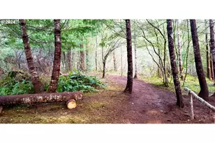 49220 Mountain View Rd, Oakridge, OR 97463 - Photo 3