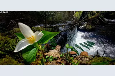 49220 Mountain View Rd, Oakridge, OR 97463 - Photo 13