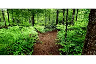 49220 Mountain View Rd, Oakridge, OR 97463 - Photo 9