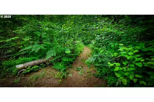 49220 Mountain View Rd, Oakridge, OR 97463 - Photo 17