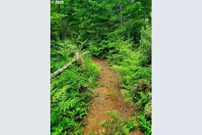 49220 Mountain View Rd, Oakridge, OR 97463 - Photo 11