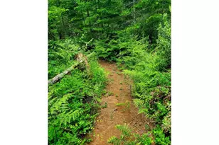 49220 Mountain View Rd, Oakridge, OR 97463 - Photo 11