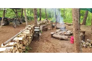 49220 Mountain View Rd, Oakridge, OR 97463 - Photo 7