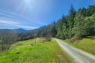 6228 Upper Cow Creek Rd, Azalea, OR 97410 - Photo 39