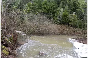 6228 Upper Cow Creek Rd, Azalea, OR 97410 - Photo 45