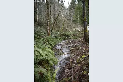 6228 Upper Cow Creek Rd, Azalea, OR 97410 - Photo 43