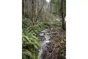 6228 Upper Cow Creek Rd, Azalea, OR 97410 - Photo 43