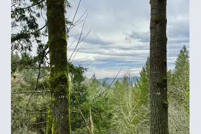 Ne 24th St, Washougal, WA 98671 - Photo 5