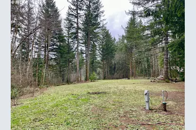 Ne 24th St, Washougal, WA 98671 - Photo 3