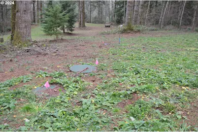 Ne 24th St, Washougal, WA 98671 - Photo 7