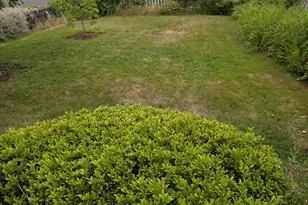 124 NW 18th Ave, Camas, WA 98607 - Photo 25