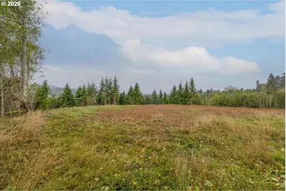 307 Greenwood Rd, Cathlamet, WA 98612 - Photo 3