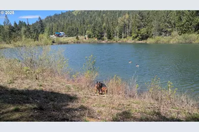 2999 Speaker Rd, Wolf Creek, OR 97497 - Photo 13