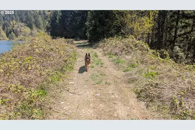 2999 Speaker Rd, Wolf Creek, OR 97497 - Photo 23