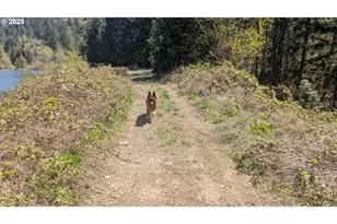 2999 Speaker Rd, Wolf Creek, OR 97497 - Photo 23