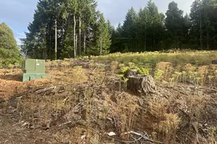 89975 Sheffler Rd, Elmira, OR 97437 - Photo 15