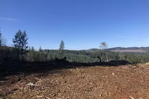 89975 Sheffler Rd, Elmira, OR 97437 - Photo 5