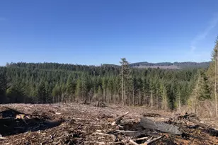 89975 Sheffler Rd, Elmira, OR 97437 - Photo 7