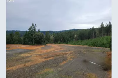 Gowdyville Rd, Cottage Grove, OR 97424 - Photo 3