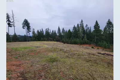 Gowdyville Rd, Cottage Grove, OR 97424 - Photo 13