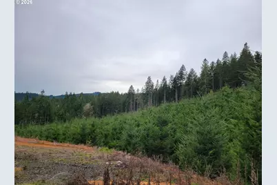 Gowdyville Rd, Cottage Grove, OR 97424 - Photo 7