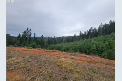 Gowdyville Rd, Cottage Grove, OR 97424 - Photo 11