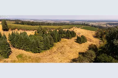 53 Franquette, Amity, OR 97101 - Photo 29