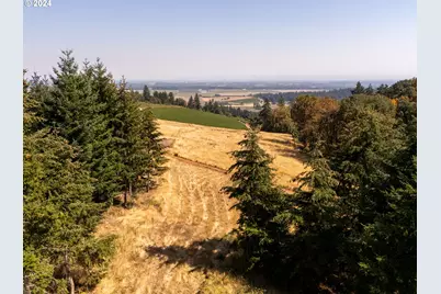 53 Franquette, Amity, OR 97101 - Photo 31