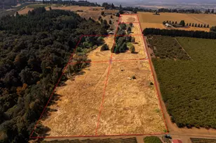 53 Franquette, Amity, OR 97101 - Photo 1