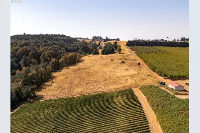 53 Franquette, Amity, OR 97101 - Photo 43