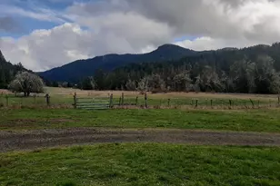 39935 Layng Creek Rd, Dorena, OR 97434 - Photo 9