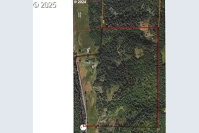 39935 Layng Creek Rd, Dorena, OR 97434 - Photo 11